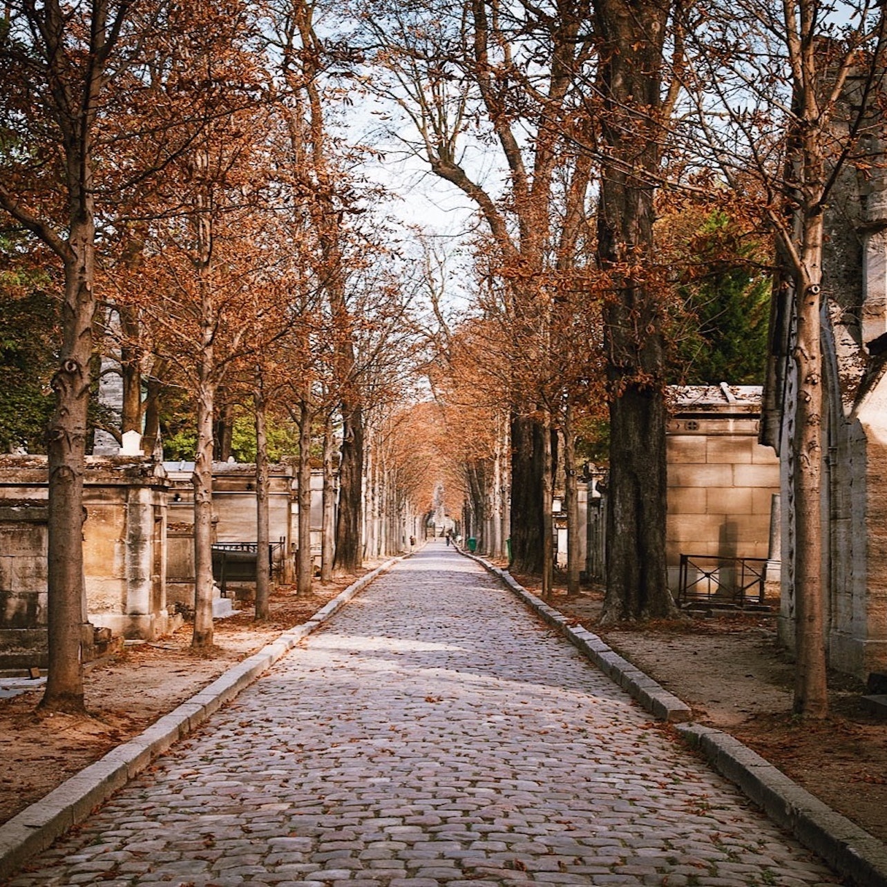 Picture of Père Lachaise Cemetery (Cimetière du Père Lachaise) in Paris, France
