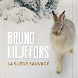 Poster image for the exhibition titled Bruno Liljefors: Wild Sweden